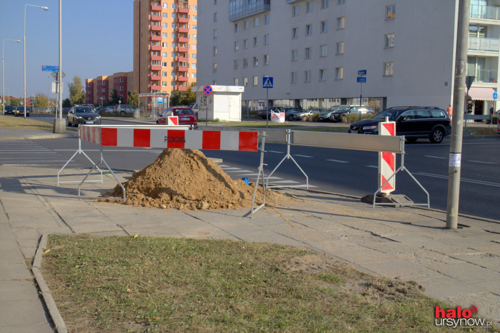 Światła Zaruby