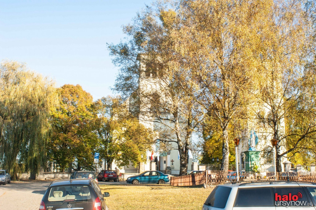 Służew nad Dolinką: Cała ta okolica to jedno wielkie szambo!