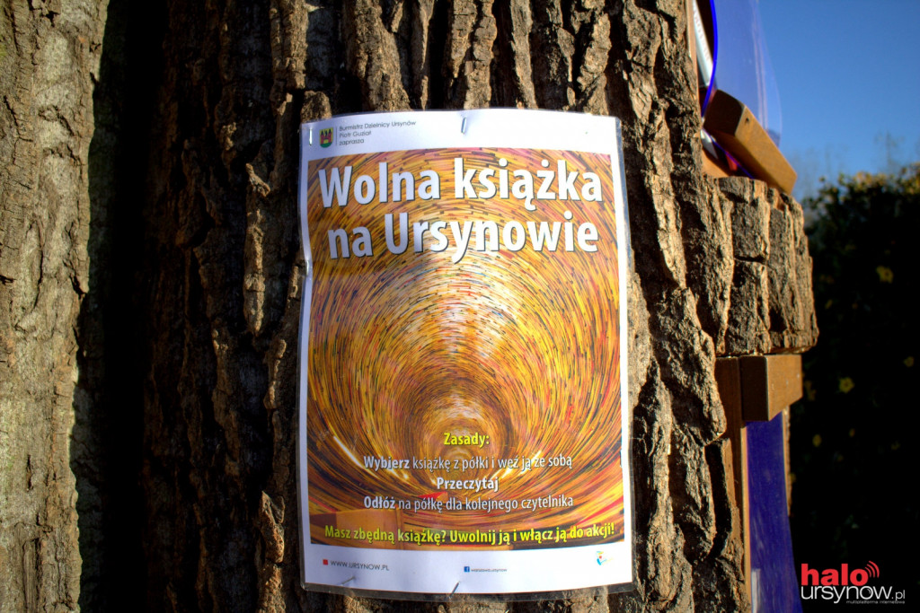 Dniem i nocą ?dokarmiają? książkowe dziuple