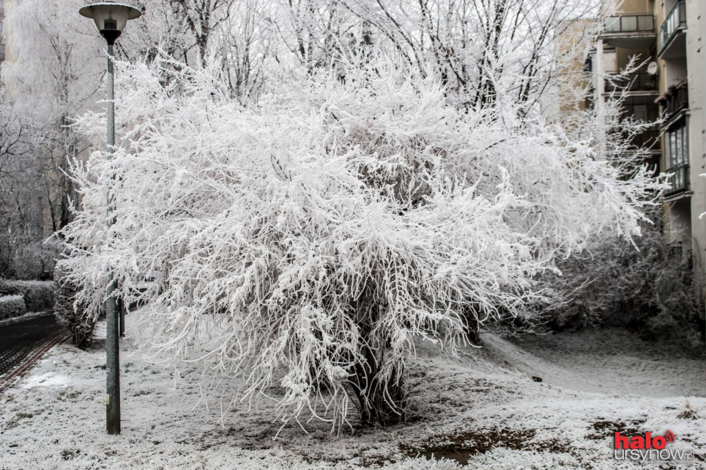 Ursynów jak z bajki? FOTO