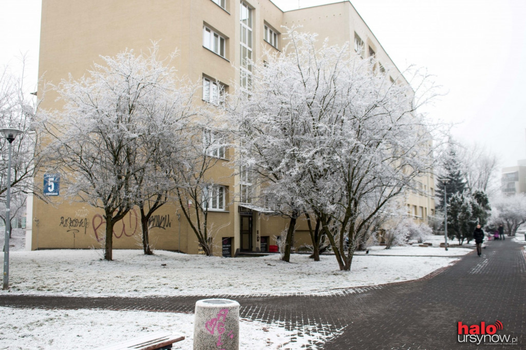 Ursynów jak z bajki? FOTO