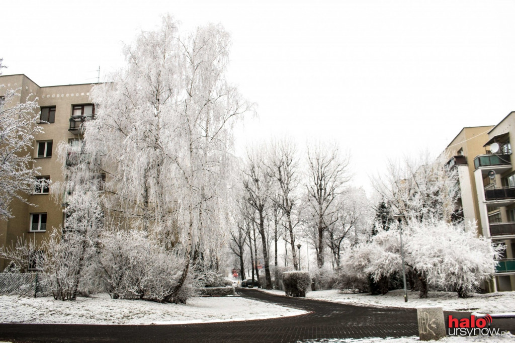 Ursynów jak z bajki? FOTO