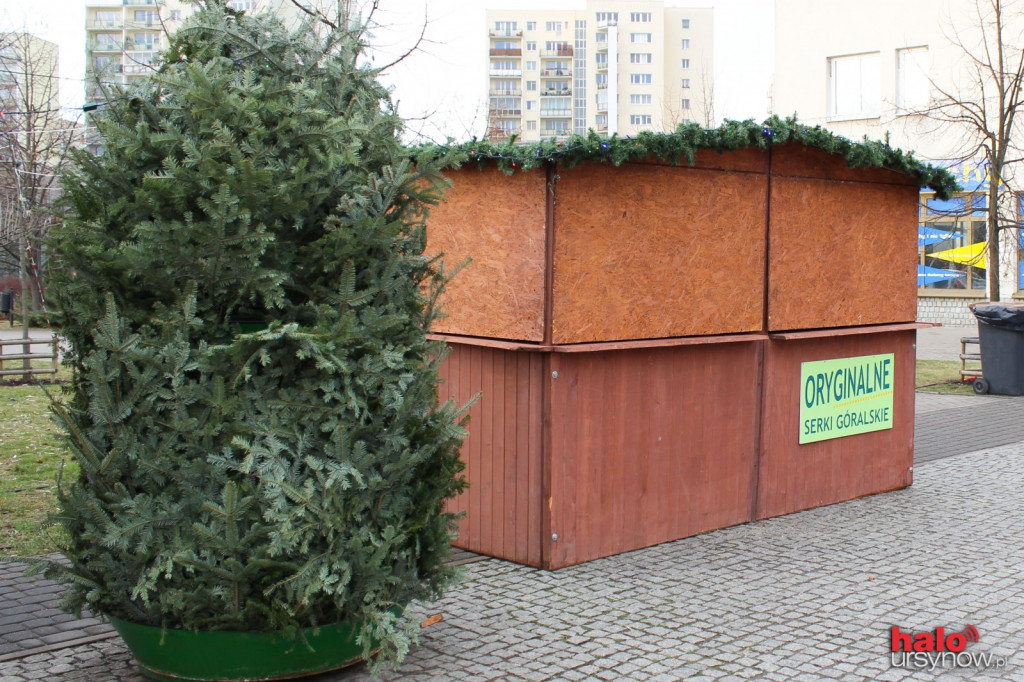 Dzisiaj startuje jarmark świąteczny. Zobacz przygotowania