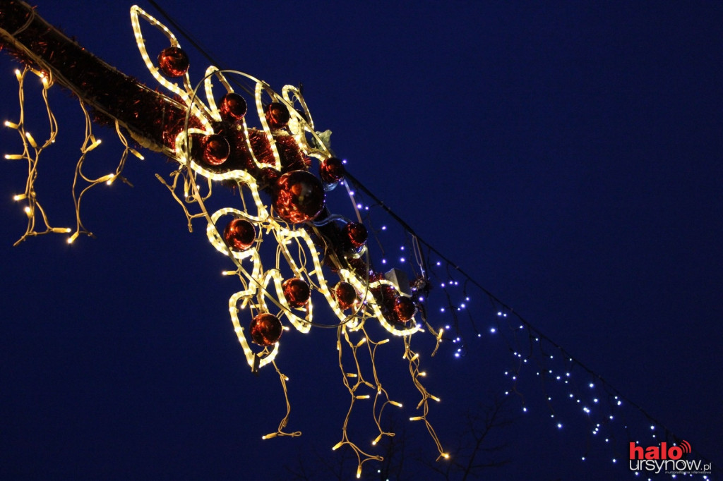 Choinka już świeci. Wielka iluminacja