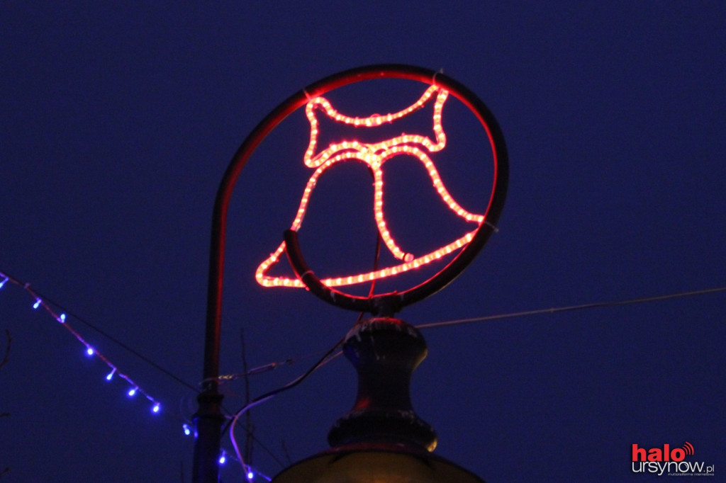 Choinka już świeci. Wielka iluminacja