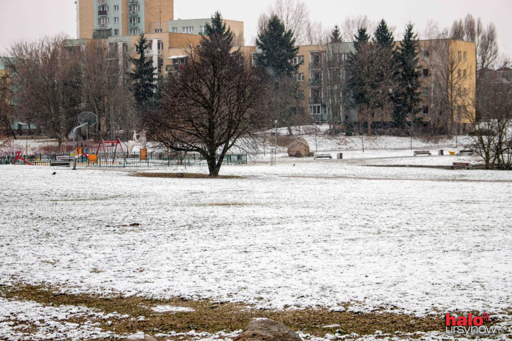 DZIAŁKA