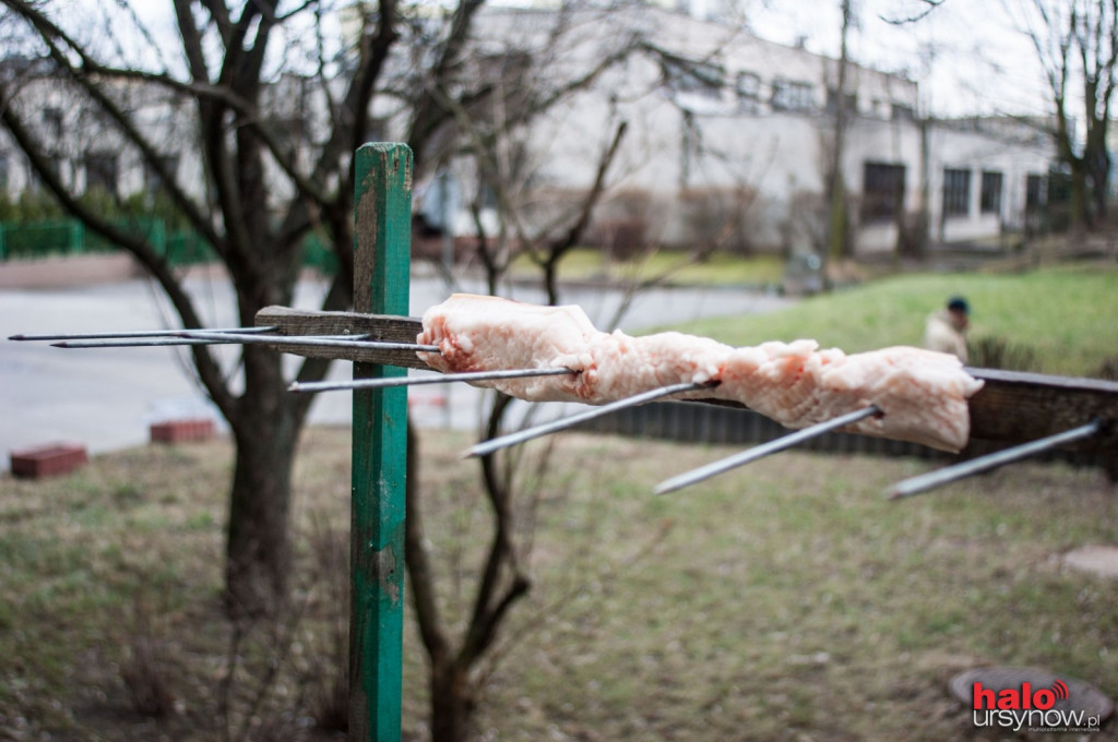 Ursynowanie dbają o dokarmianie ptaków