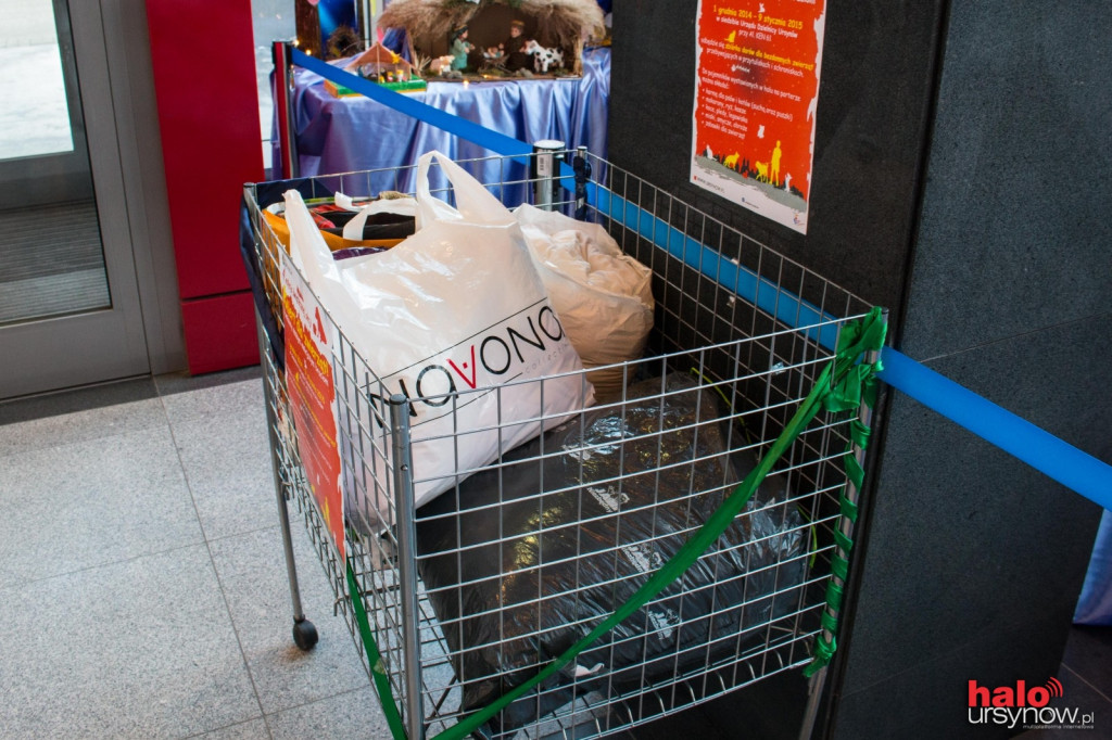 Pomóż czworonogom na Ursynowie!
