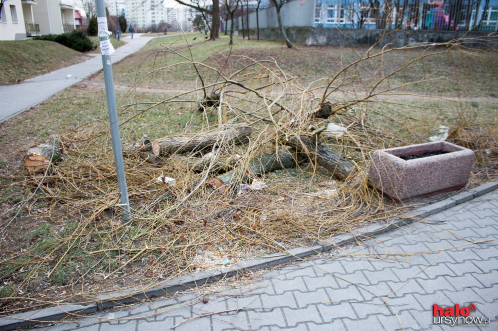 Połamane drzewa, uszkodzone auto, zerwana blacha. SKUTKI WICHURY