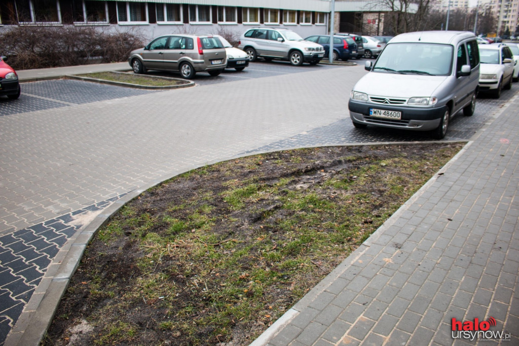 Będzie petycja do burmistrza ws. Hirszfelda? 
