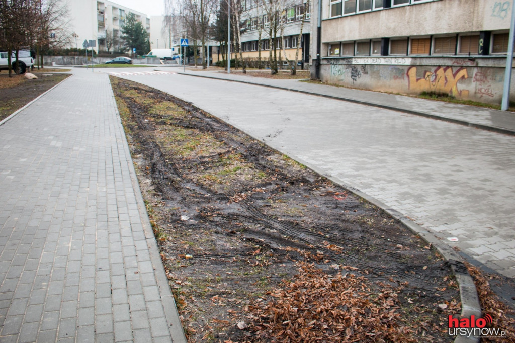 Będzie petycja do burmistrza ws. Hirszfelda? 