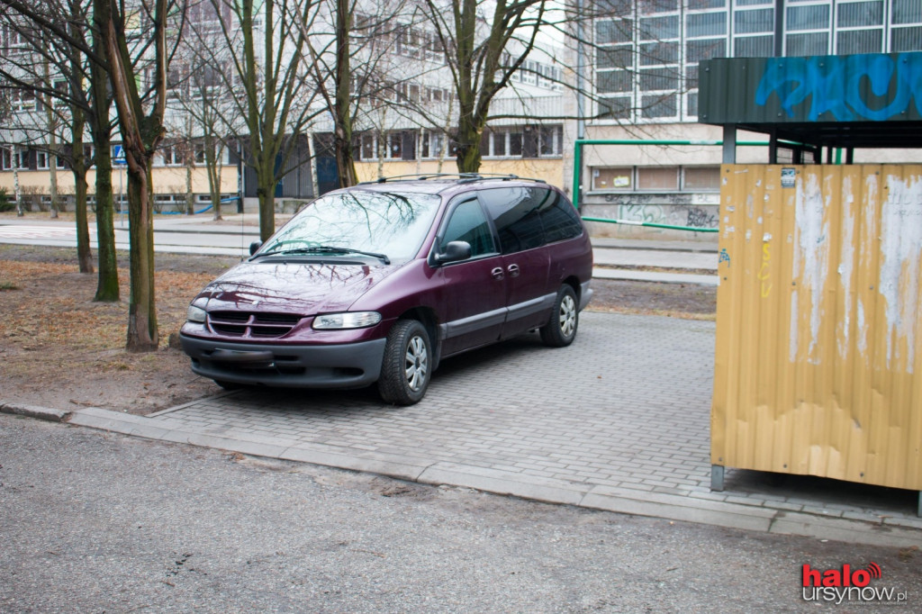 Będzie petycja do burmistrza ws. Hirszfelda? 