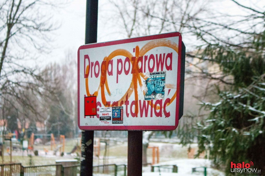 Pięciolinii