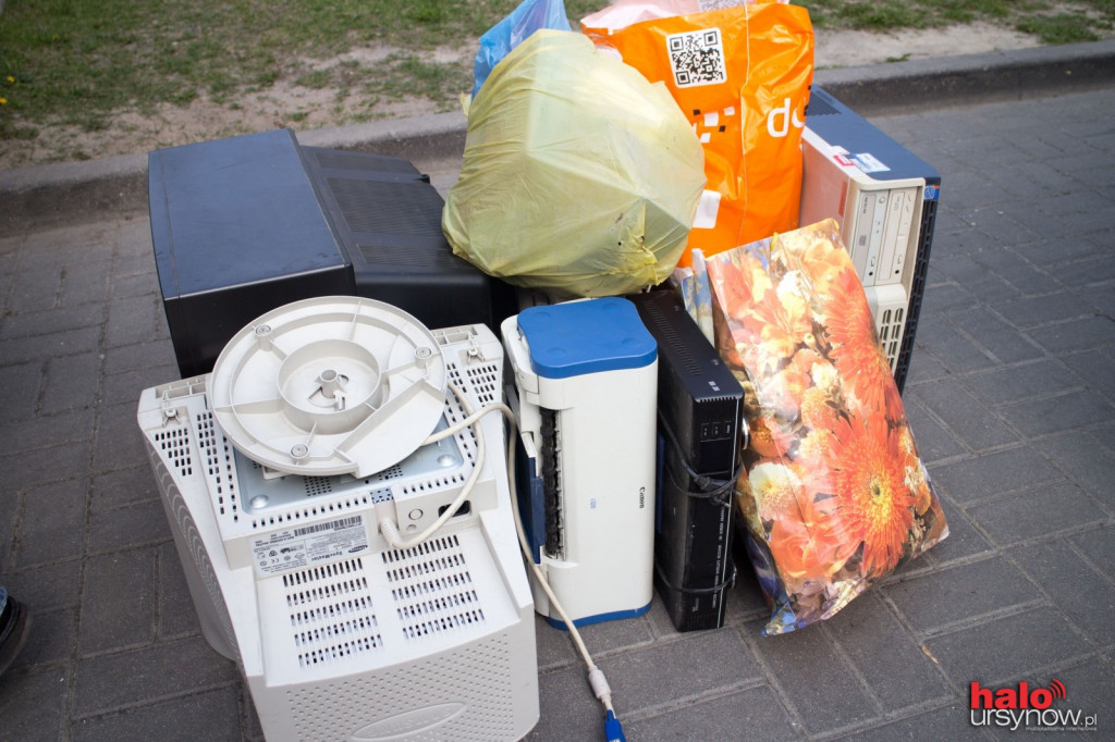 Długie kolejki po sadzonki, czyli Warszawskie Dni recyklingu na Ursynowie