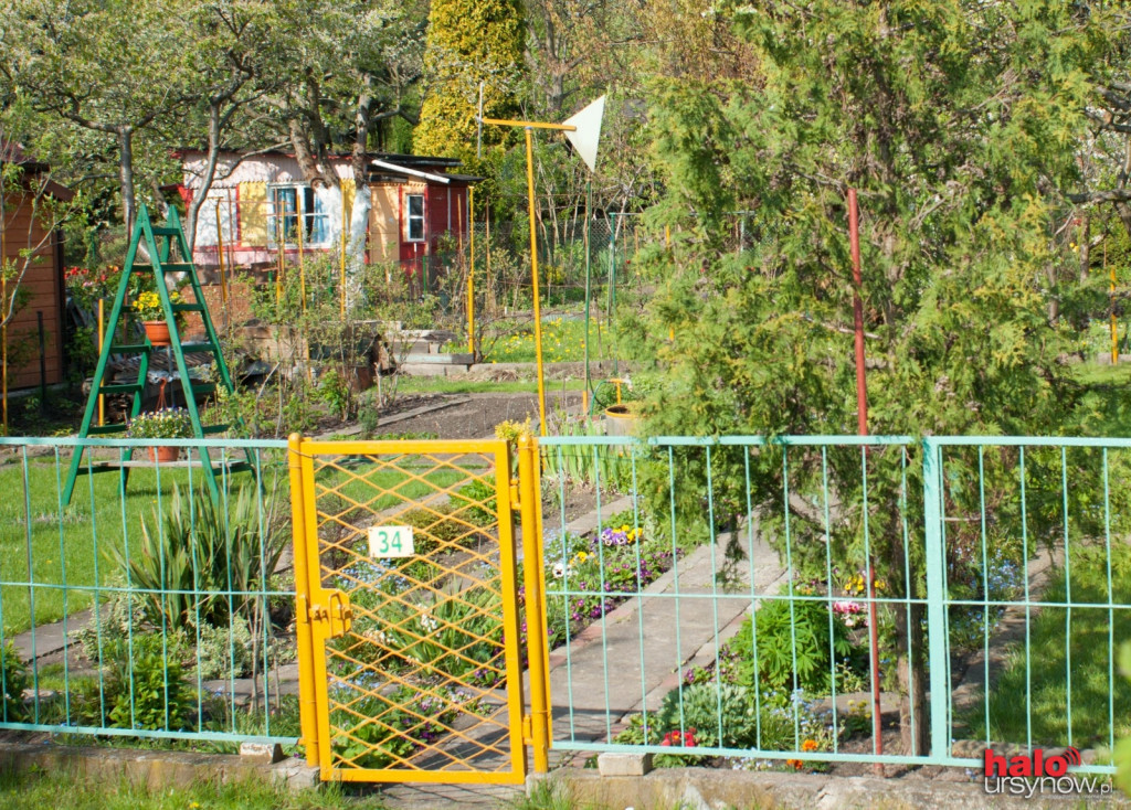 Twój prywatny kawałek raju, czyli jak zostać działkowcem na Ursynowie