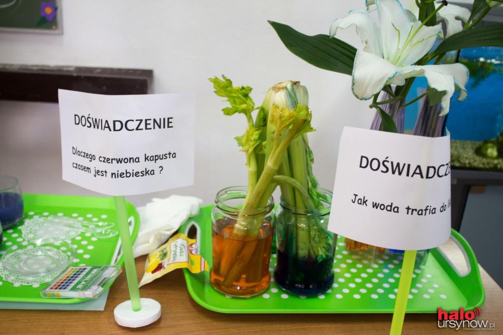 Święto szkoły nr 330