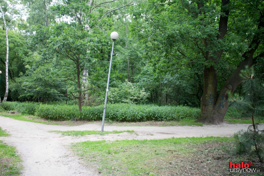 lapmpa
