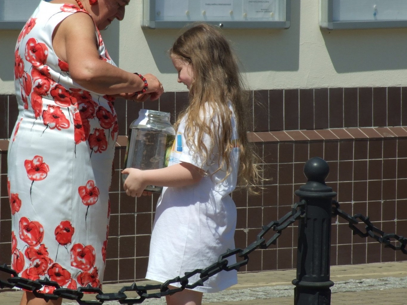 Hojny Ursynów. Zbiórka dla hospicjum