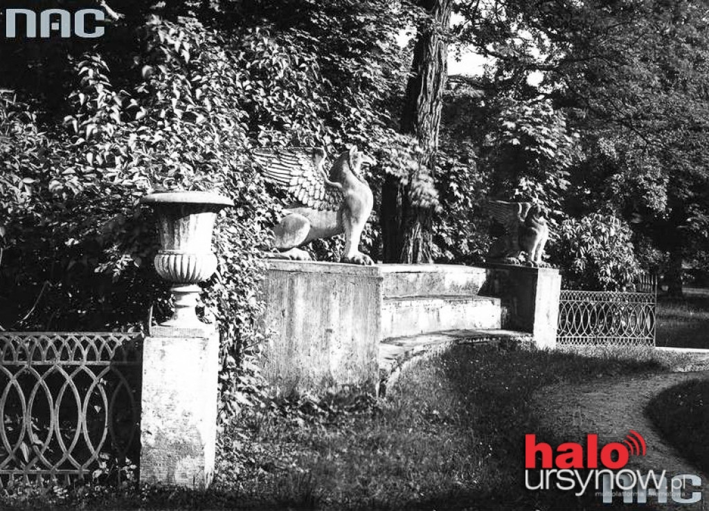 Natolin