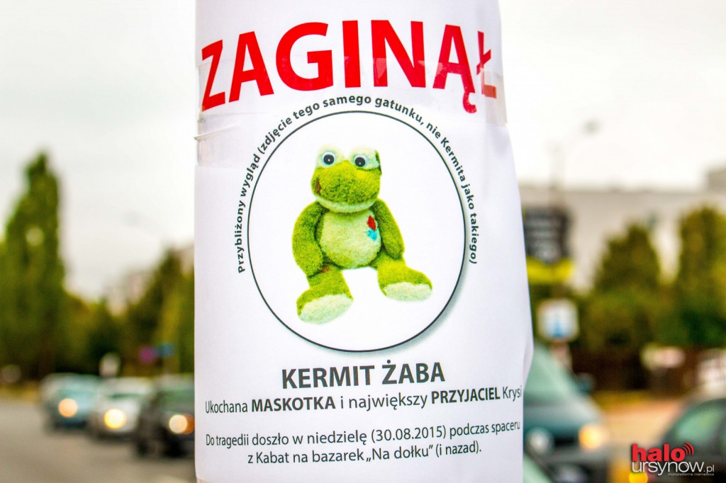Na Kabatach zaginął... Kermit!