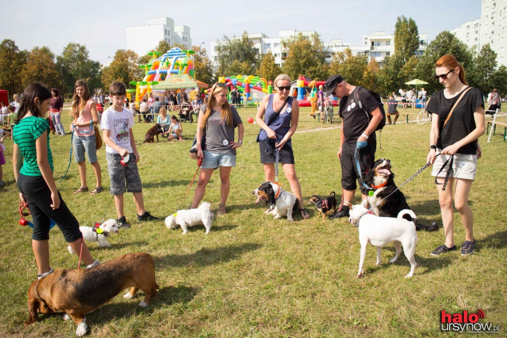 Piknik