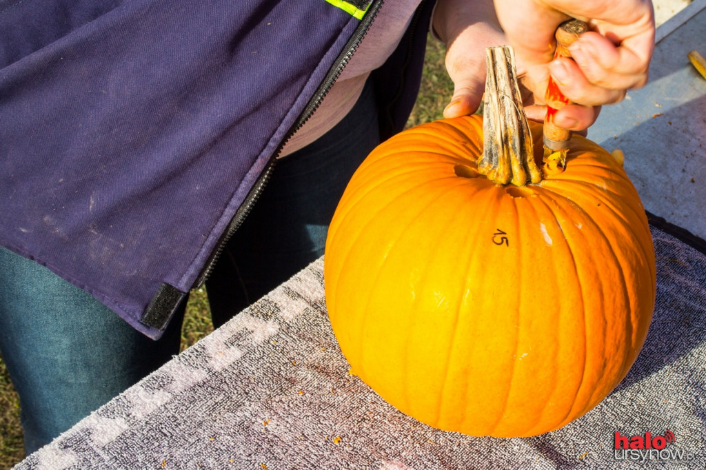 Dyniowy zawrót głowy na Ursynowie. Czyli jak stworzyć ozdobę na Halloween