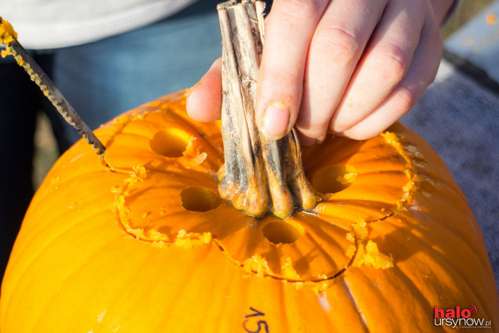 Dyniowy zawrót głowy na Ursynowie. Czyli jak stworzyć ozdobę na Halloween
