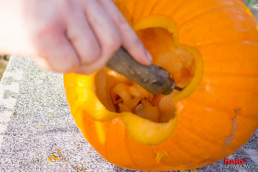 Dyniowy zawrót głowy na Ursynowie. Czyli jak stworzyć ozdobę na Halloween