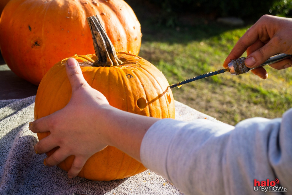 Dyniowy zawrót głowy na Ursynowie. Czyli jak stworzyć ozdobę na Halloween