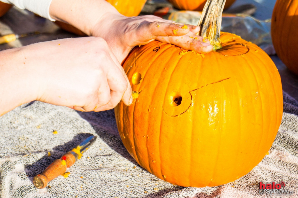 Dyniowy zawrót głowy na Ursynowie. Czyli jak stworzyć ozdobę na Halloween