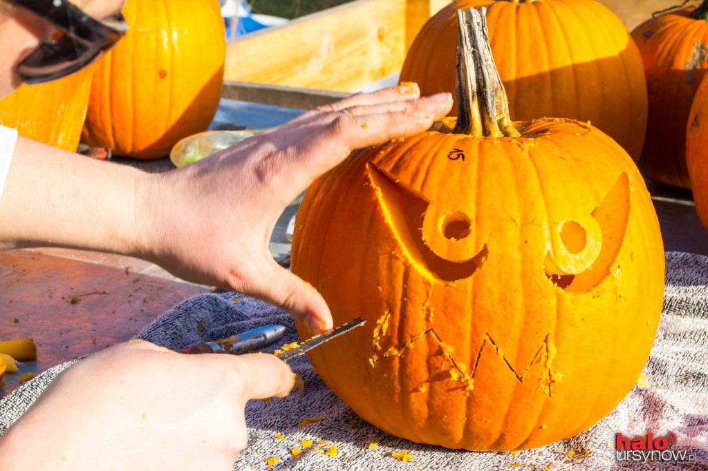 Dyniowy zawrót głowy na Ursynowie. Czyli jak stworzyć ozdobę na Halloween