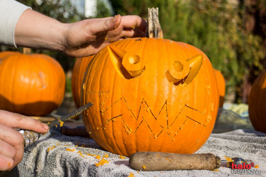 Dyniowy zawrót głowy na Ursynowie. Czyli jak stworzyć ozdobę na Halloween
