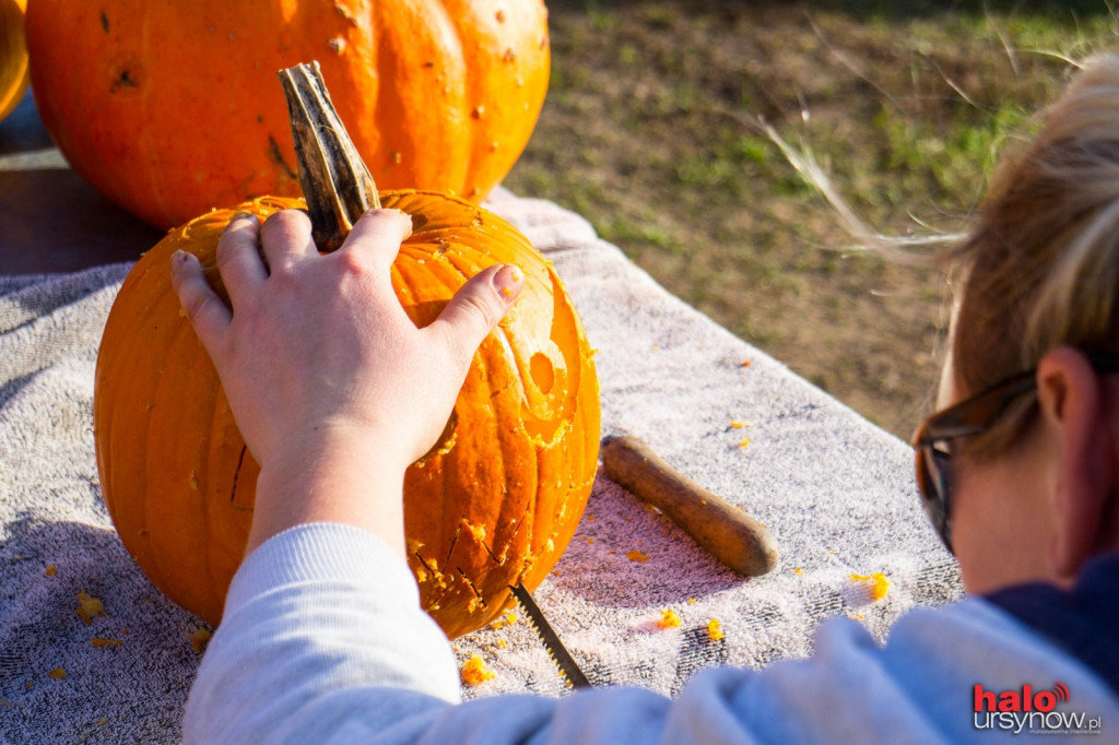 Dyniowy zawrót głowy na Ursynowie. Czyli jak stworzyć ozdobę na Halloween