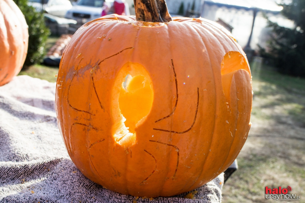 Dyniowy zawrót głowy na Ursynowie. Czyli jak stworzyć ozdobę na Halloween