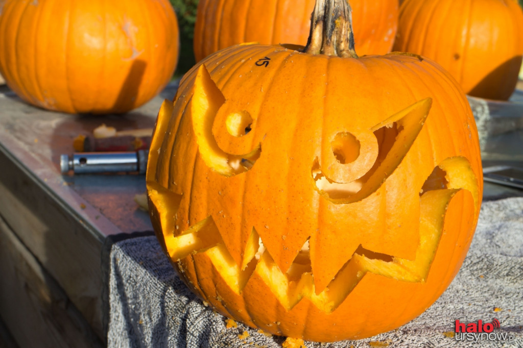 Dyniowy zawrót głowy na Ursynowie. Czyli jak stworzyć ozdobę na Halloween