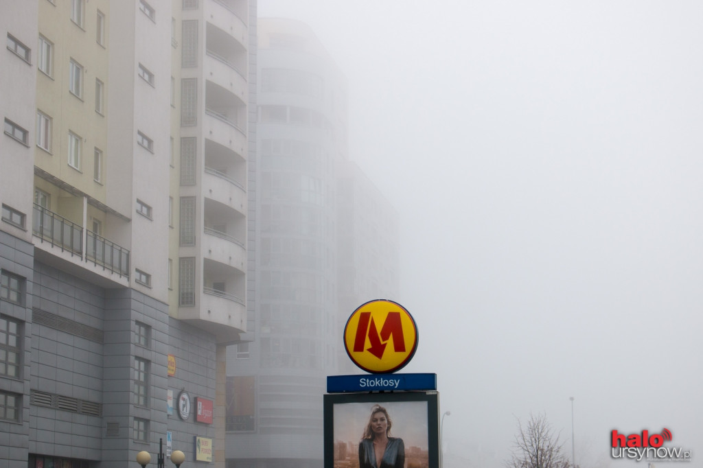 Ale mgła!