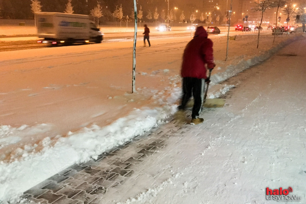 ATAK ZIMY. Kierowcy psioczą a dzieci i... świnki się cieszą! FOTO