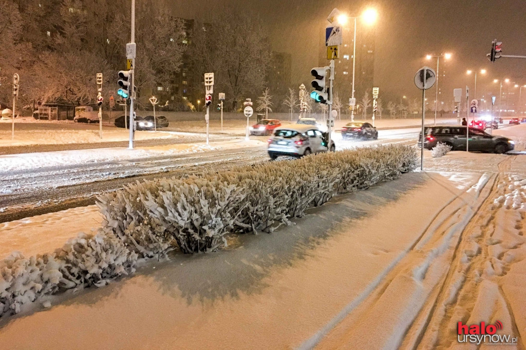 ATAK ZIMY. Kierowcy psioczą a dzieci i... świnki się cieszą! FOTO