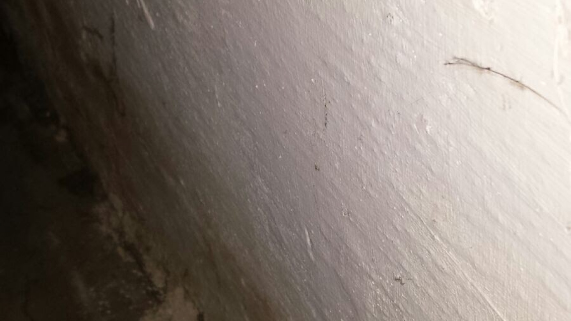 Zalewają ich fekalia. A urząd i spółdzielnia... wymieniają pisma!