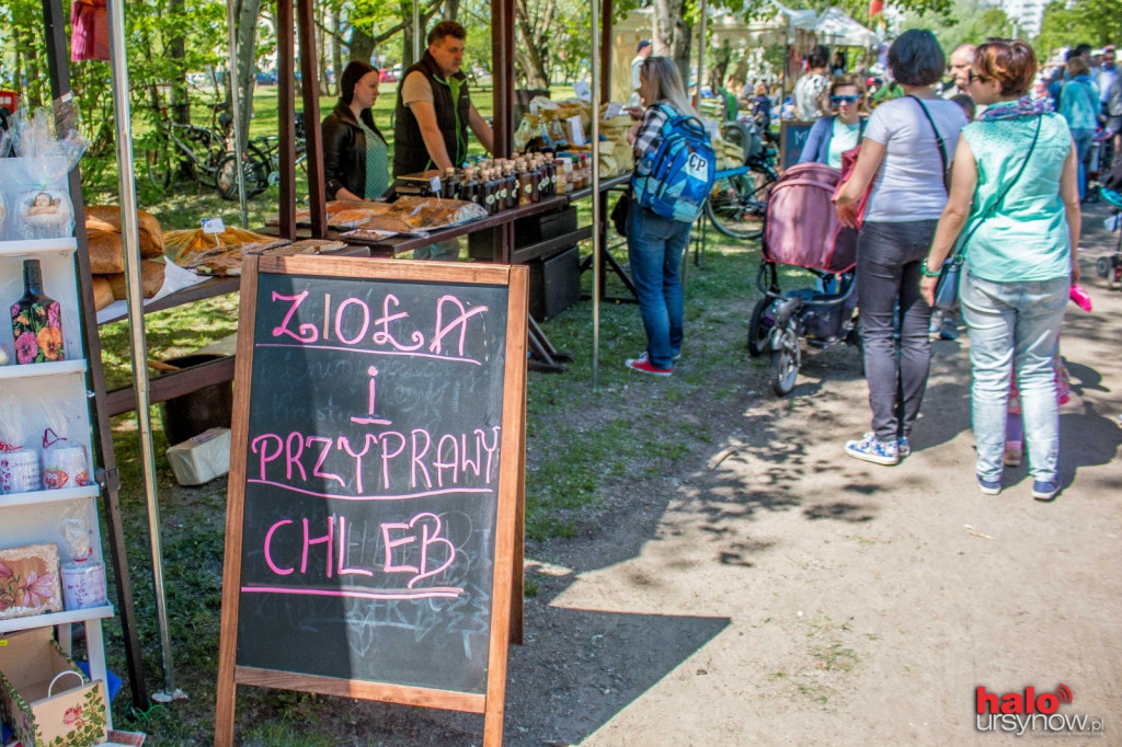 Piknik Rycerski w Parku Przy Bażantarni FOTO