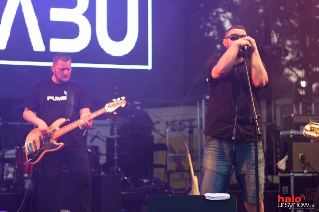 URSYNALIA 2016. Wybuchowa mieszanka muzyczna w pierwszym dniu FOTO