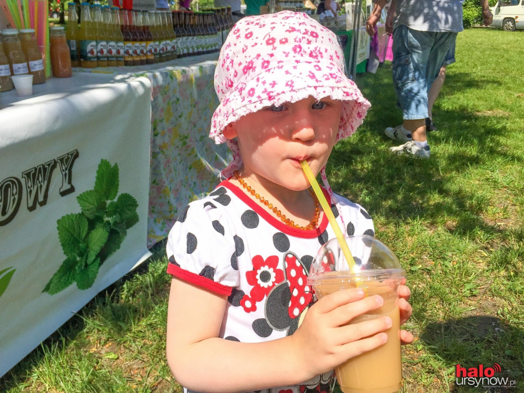 Udany powrót targu śniadaniowego na Kabatach! FOTO