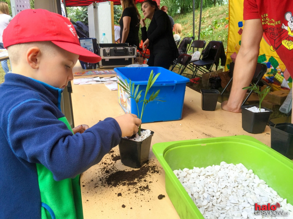 Odczarowaliśmy hospicjum! Udany piknik rodzinny FHO FOTO