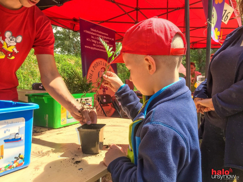Odczarowaliśmy hospicjum! Udany piknik rodzinny FHO FOTO