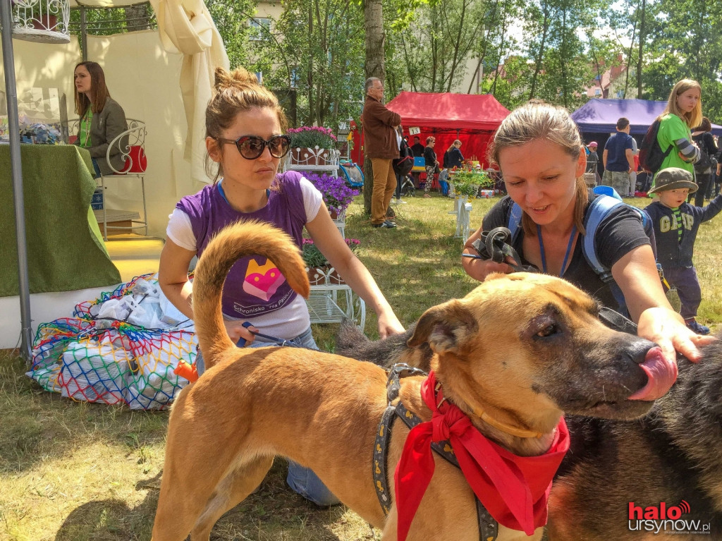 Odczarowaliśmy hospicjum! Udany piknik rodzinny FHO FOTO