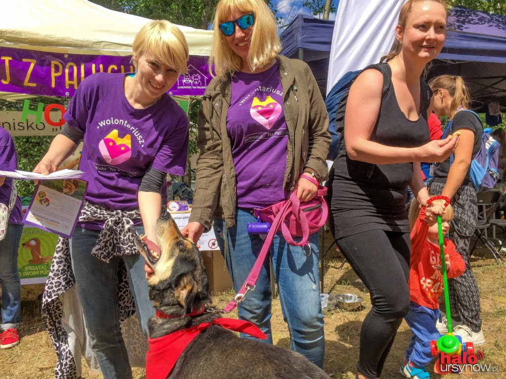 Odczarowaliśmy hospicjum! Udany piknik rodzinny FHO FOTO