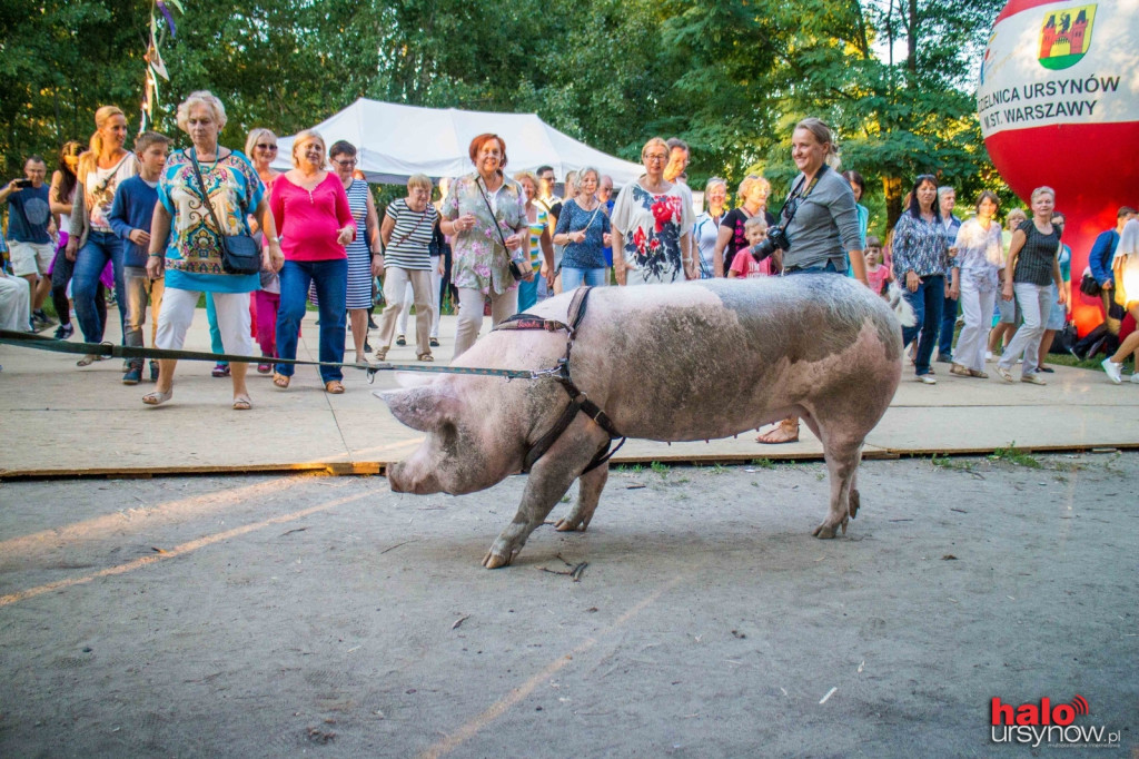 Potańcówka vol. 3
