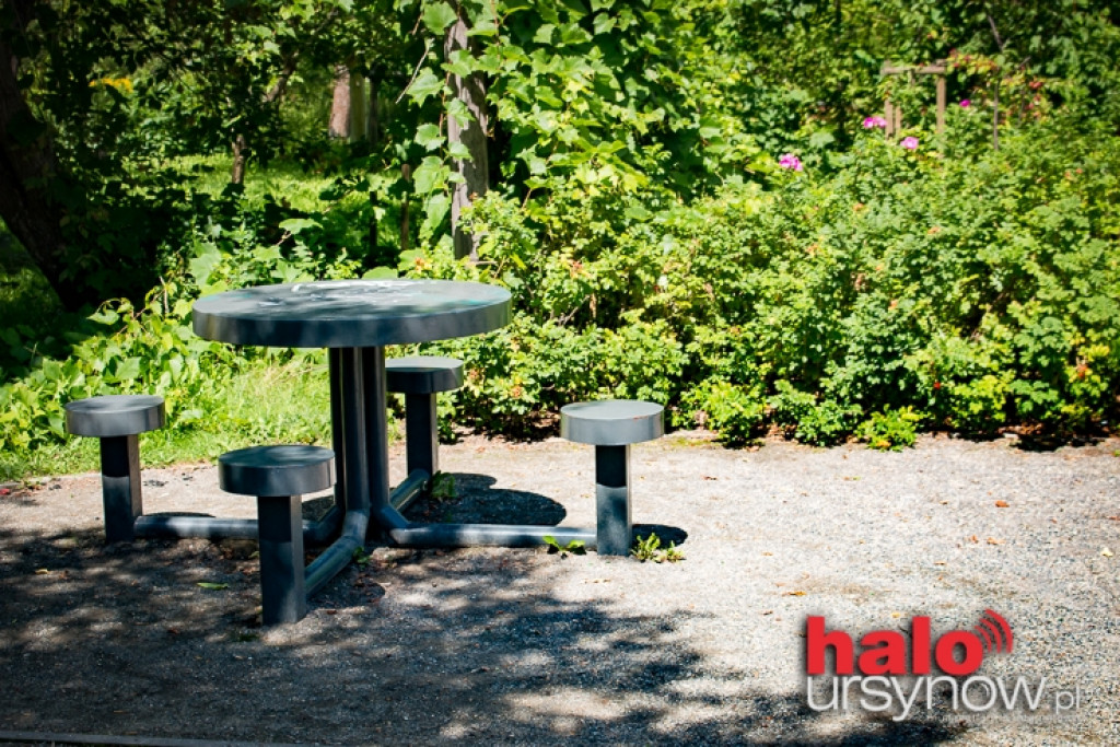 Park pachnący gruszami i morelami... Jedyny taki na Ursynowie. ZOBACZ!