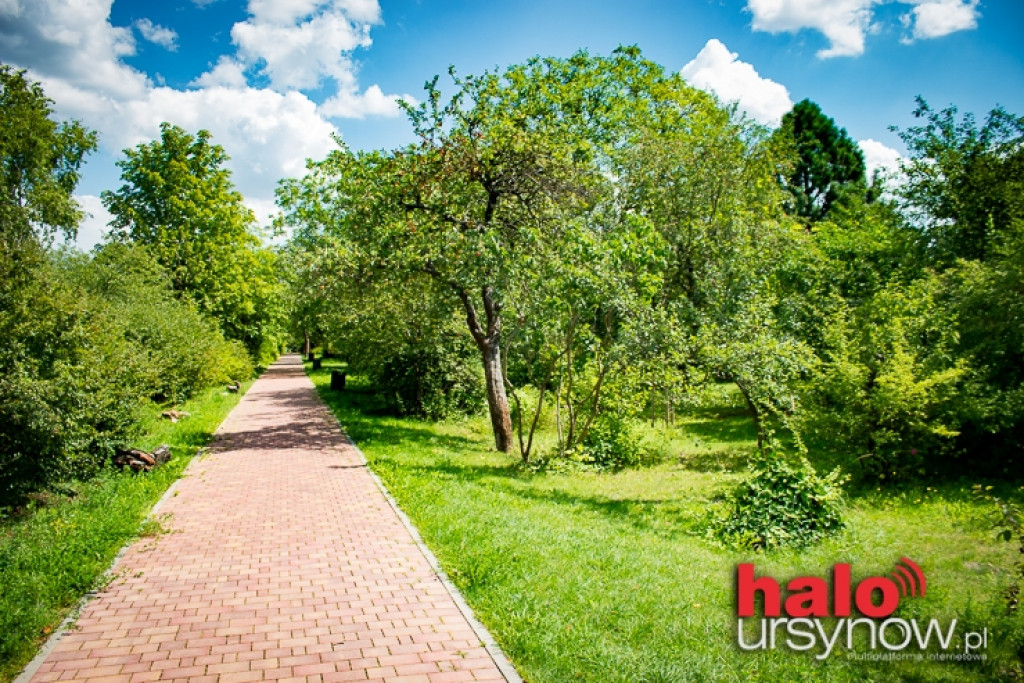 Park pachnący gruszami i morelami... Jedyny taki na Ursynowie. ZOBACZ!