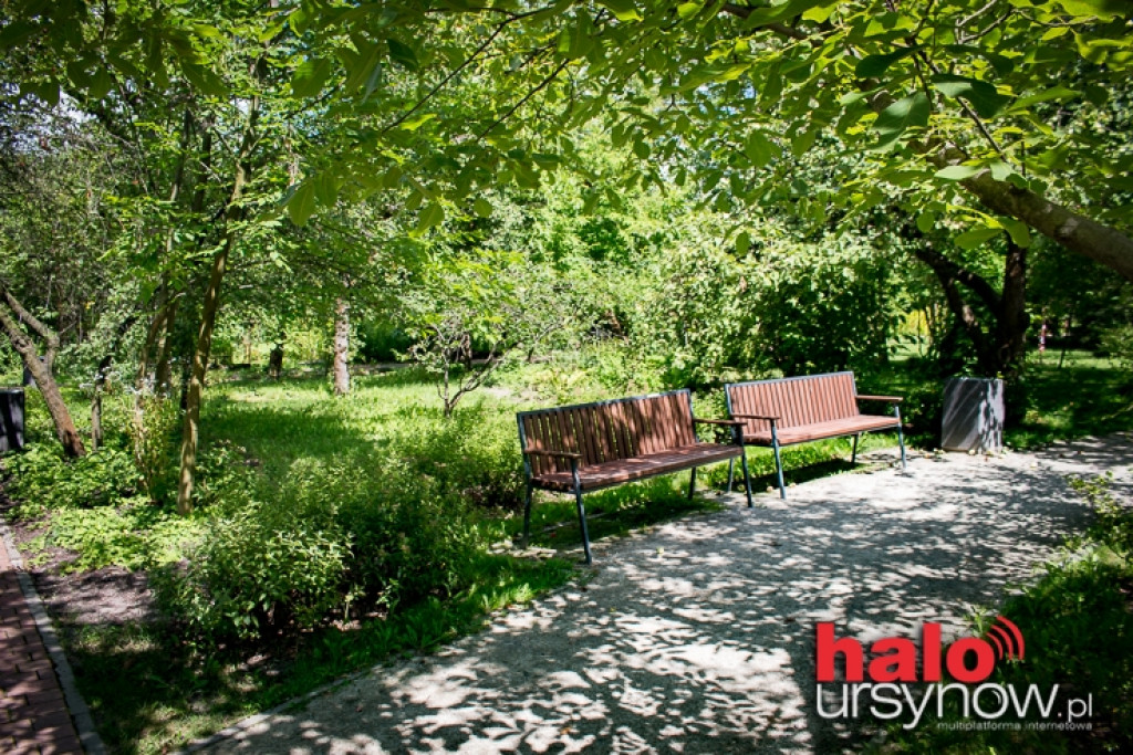 Park pachnący gruszami i morelami... Jedyny taki na Ursynowie. ZOBACZ!